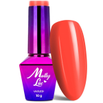 img2