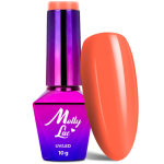 img2